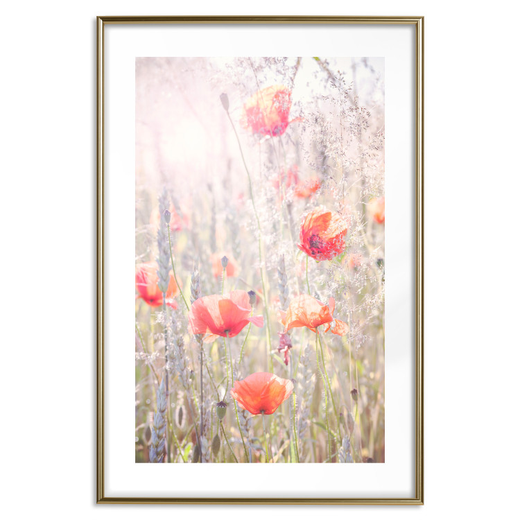 Poster Summer Meadow - colorful composition with red poppies among field flowers 116406 additionalImage 19