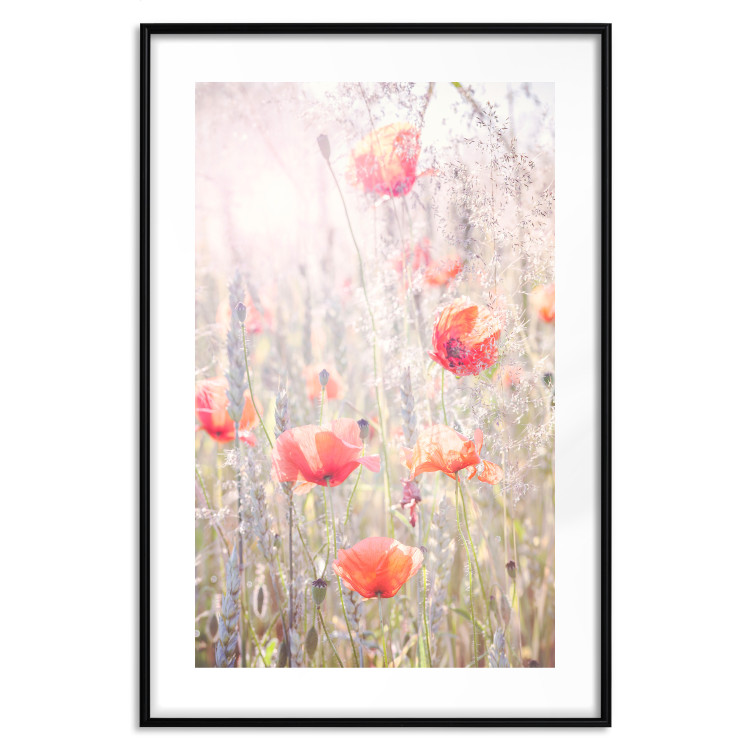 Poster Summer Meadow - colorful composition with red poppies among field flowers 116406 additionalImage 27
