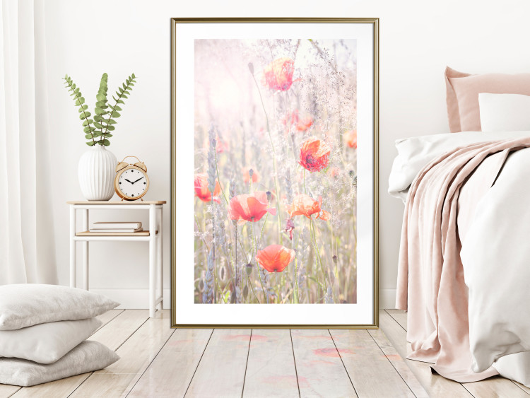 Poster Summer Meadow - colorful composition with red poppies among field flowers 116406 additionalImage 15