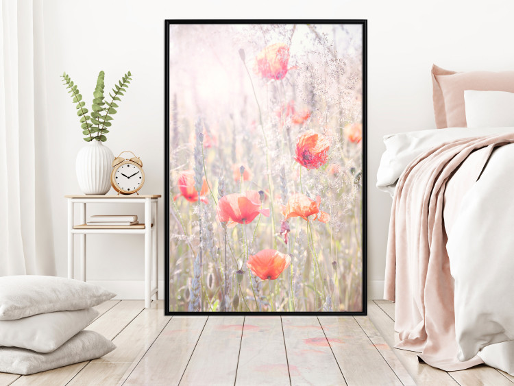 Poster Summer Meadow - colorful composition with red poppies among field flowers 116406 additionalImage 5