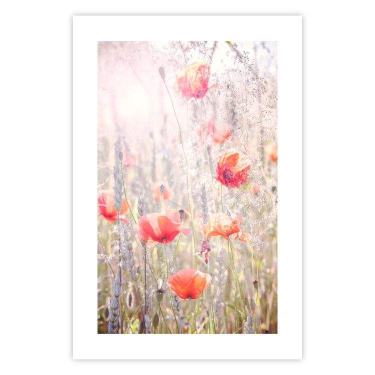Poster Summer Meadow - colorful composition with red poppies among field flowers 116406 additionalImage 24