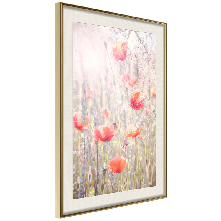 Poster Summer Meadow - colorful composition with red poppies among field flowers 116406 additionalImage 2