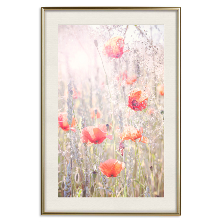 Poster Summer Meadow - colorful composition with red poppies among field flowers 116406 additionalImage 20