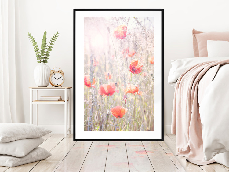 Poster Summer Meadow - colorful composition with red poppies among field flowers 116406 additionalImage 6