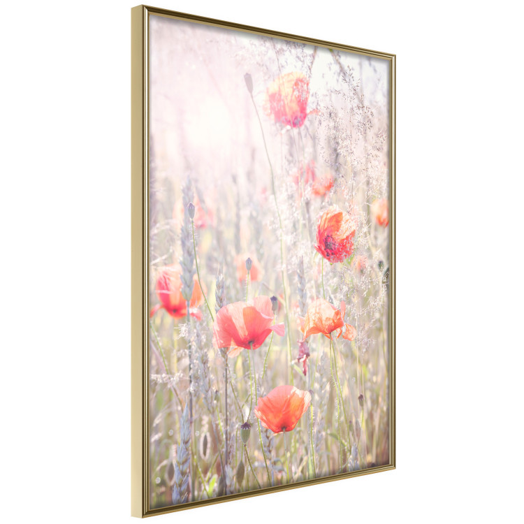 Poster Summer Meadow - colorful composition with red poppies among field flowers 116406 additionalImage 14