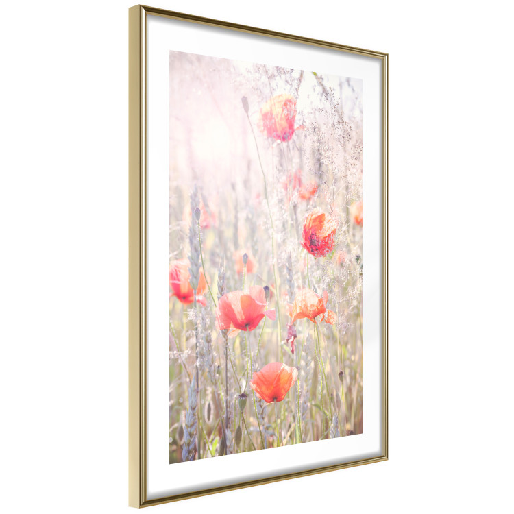 Poster Summer Meadow - colorful composition with red poppies among field flowers 116406 additionalImage 8