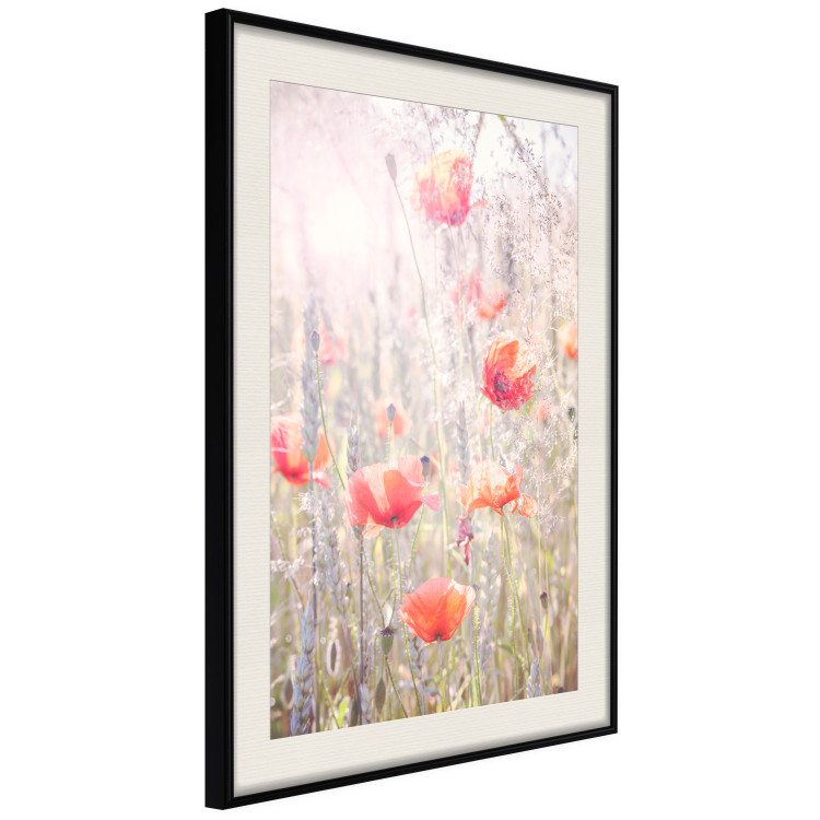 Poster Summer Meadow - colorful composition with red poppies among field flowers 116406 additionalImage 3