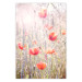 Poster Summer Meadow - colorful composition with red poppies among field flowers 116406