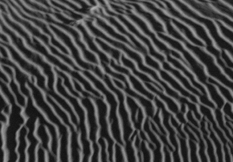 Poster Desert Dunes - black and white landscape amidst hot desert sands 116506 additionalImage 4