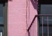 Wall Poster Fire Escape Stairs - architectural shot with a pink-painted building 116706 additionalThumb 10