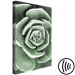 Canvas Green Rebirth (1-part) - Cactus Nature in Sage Green Shade 117106 additionalThumb 6