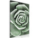 Canvas Green Rebirth (1-part) - Cactus Nature in Sage Green Shade 117106 additionalThumb 2