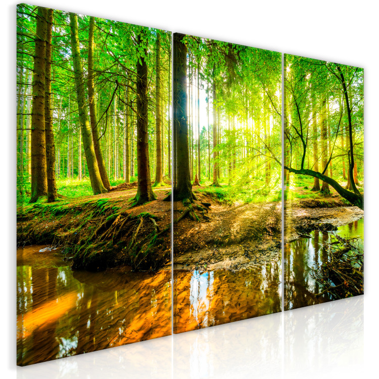 Canvas Print Forest Stream (3 Parts) 122206 additionalImage 2