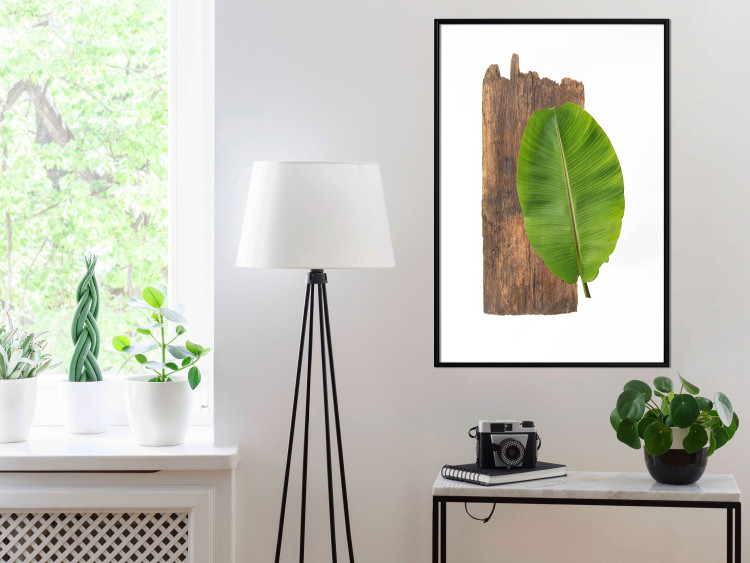 Poster Gravity of Nature - green leaf and wooden piece of plank on a white background 122606 additionalImage 4