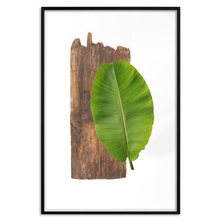 Poster Gravity of Nature - green leaf and wooden piece of plank on a white background 122606 additionalImage 15