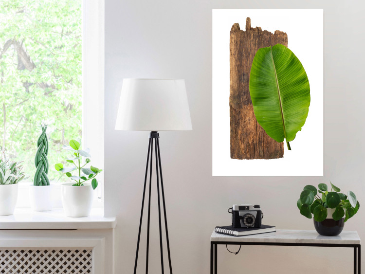 Poster Gravity of Nature - green leaf and wooden piece of plank on a white background 122606 additionalImage 17
