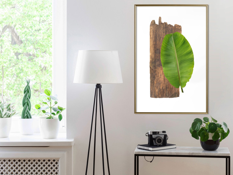 Poster Gravity of Nature - green leaf and wooden piece of plank on a white background 122606 additionalImage 13