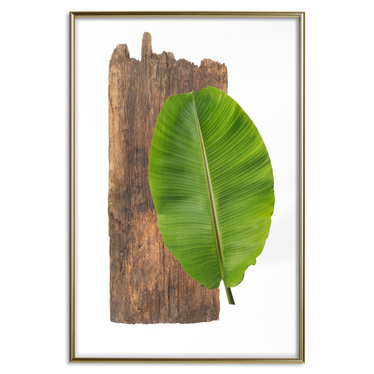 Poster Gravity of Nature - green leaf and wooden piece of plank on a white background 122606 additionalImage 16