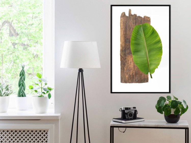 Poster Gravity of Nature - green leaf and wooden piece of plank on a white background 122606 additionalImage 3