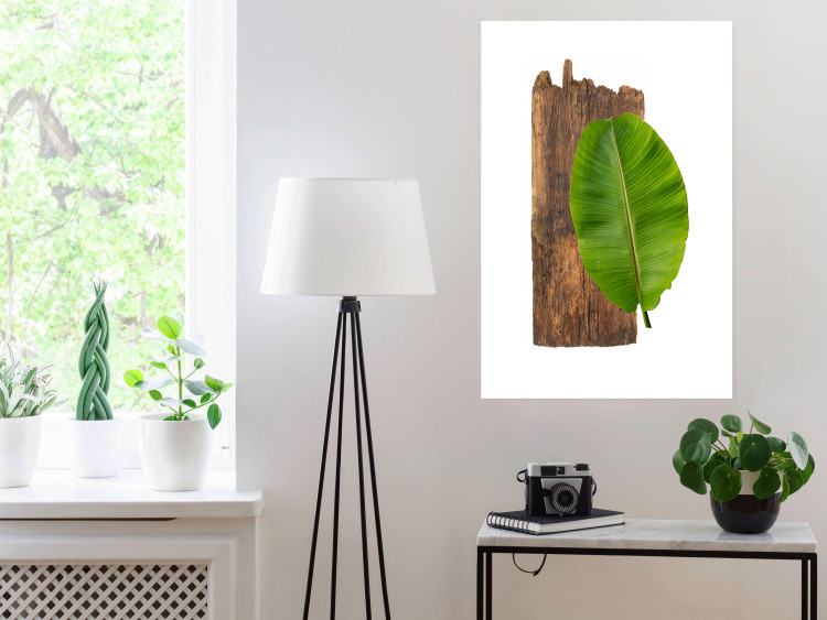 Poster Gravity of Nature - green leaf and wooden piece of plank on a white background 122606 additionalImage 2