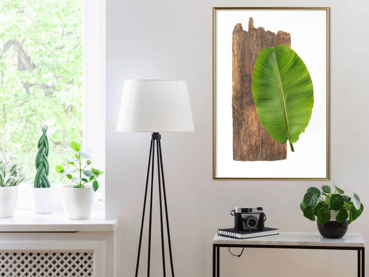 Poster Gravity of Nature - green leaf and wooden piece of plank on a white background 122606 additionalImage 5