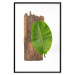 Poster Gravity of Nature - green leaf and wooden piece of plank on a white background 122606 additionalThumb 15