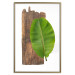 Poster Gravity of Nature - green leaf and wooden piece of plank on a white background 122606 additionalThumb 16