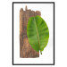 Poster Gravity of Nature - green leaf and wooden piece of plank on a white background 122606 additionalThumb 18