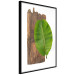 Poster Gravity of Nature - green leaf and wooden piece of plank on a white background 122606 additionalThumb 10