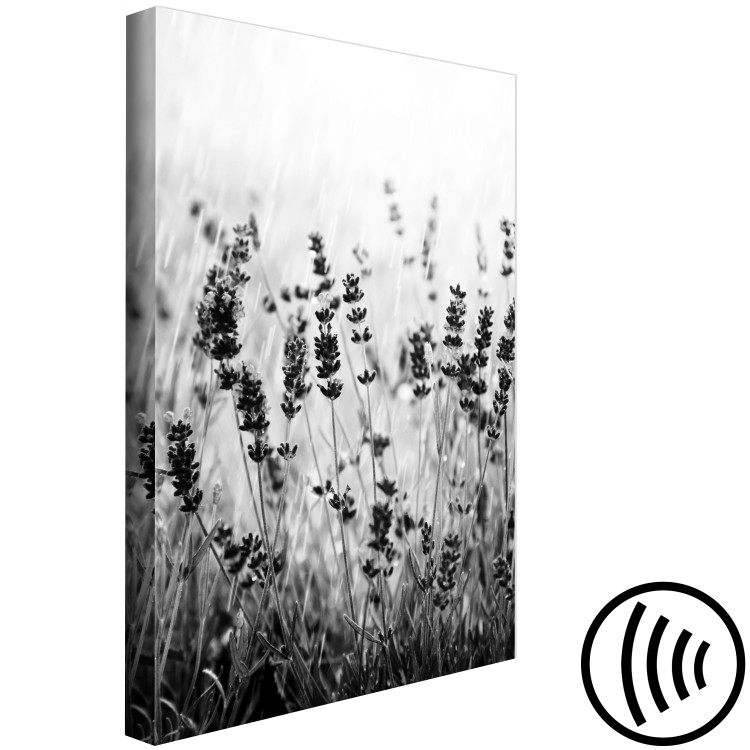 Canvas Print Blooming lavender - meadow with lavender flowers black and white photo 123806 additionalImage 6