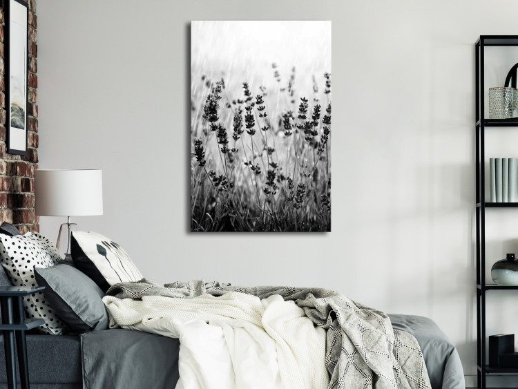Canvas Print Blooming lavender - meadow with lavender flowers black and white photo 123806 additionalImage 3