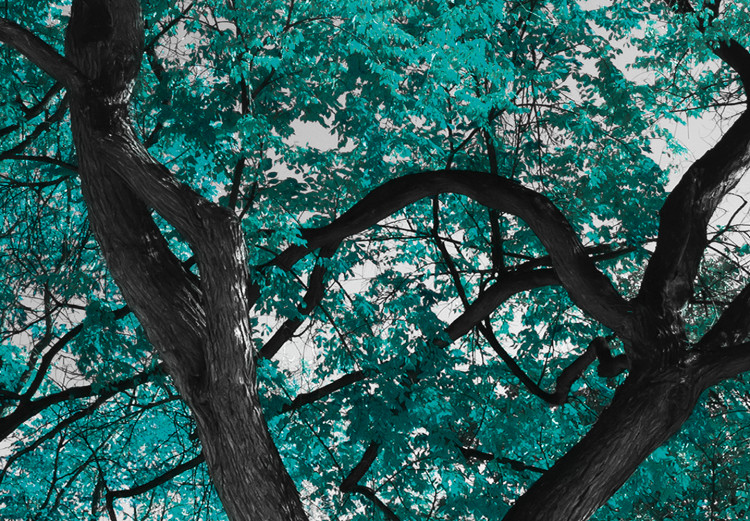 Large canvas print Autumn in the Park (Turquoise) [Large Format] 125606 additionalImage 4