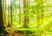 Large canvas print Window: View on Forest [Large Format] 128706 additionalThumb 4