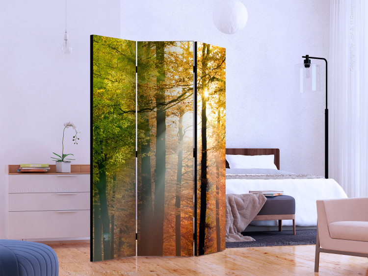 Room Divider Forest Colors (3-piece) - colorful landscape among deciduous trees 132906 additionalImage 2