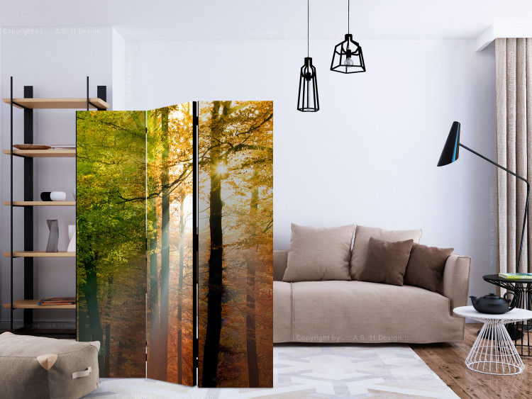 Room Divider Forest Colors (3-piece) - colorful landscape among deciduous trees 132906 additionalImage 4