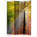 Room Divider Forest Colors (3-piece) - colorful landscape among deciduous trees 132906