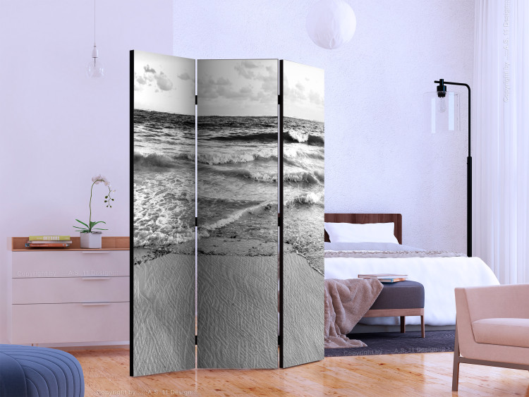 Room Divider Subtle Afternoon - black and white seascape landscape with waves 134106 additionalImage 2