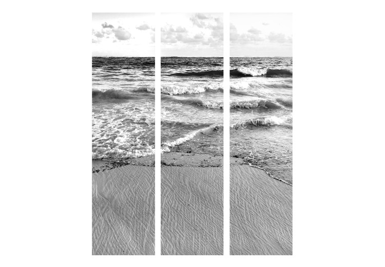Room Divider Subtle Afternoon - black and white seascape landscape with waves 134106 additionalImage 3