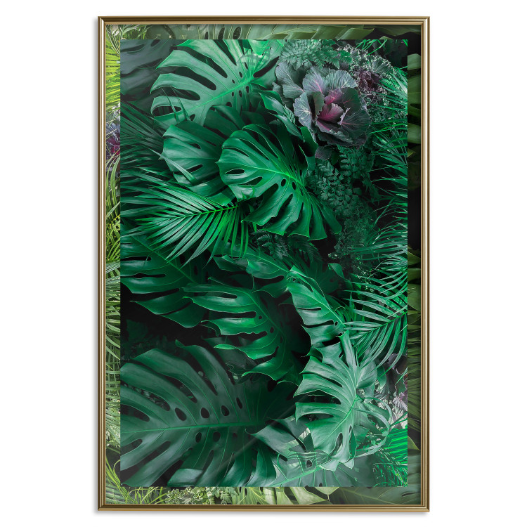 Wall Poster Dense Jungle - plant composition of tropical greenish jungle 134506 additionalImage 17