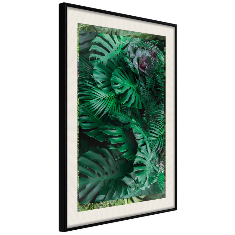 Wall Poster Dense Jungle - plant composition of tropical greenish jungle 134506 additionalImage 2