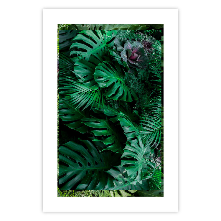 Wall Poster Dense Jungle - plant composition of tropical greenish jungle 134506 additionalImage 25