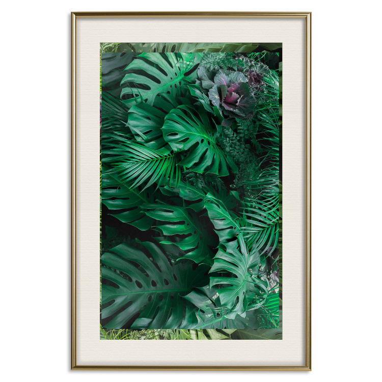 Wall Poster Dense Jungle - plant composition of tropical greenish jungle 134506 additionalImage 20