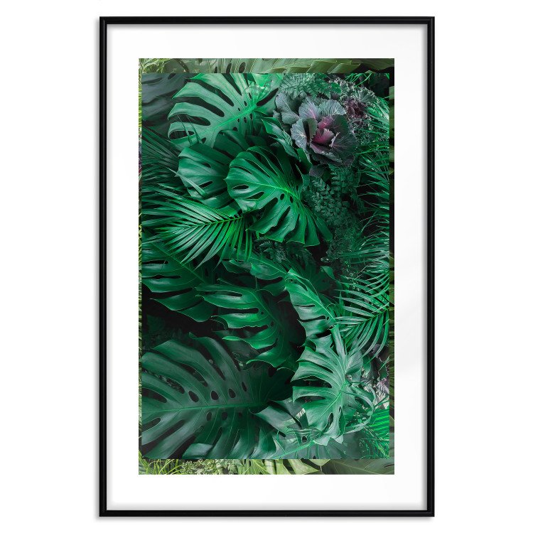 Wall Poster Dense Jungle - plant composition of tropical greenish jungle 134506 additionalImage 17