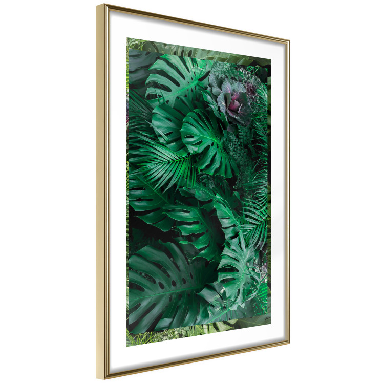 Wall Poster Dense Jungle - plant composition of tropical greenish jungle 134506 additionalImage 7