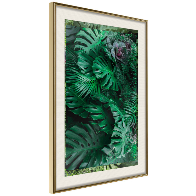Wall Poster Dense Jungle - plant composition of tropical greenish jungle 134506 additionalImage 3