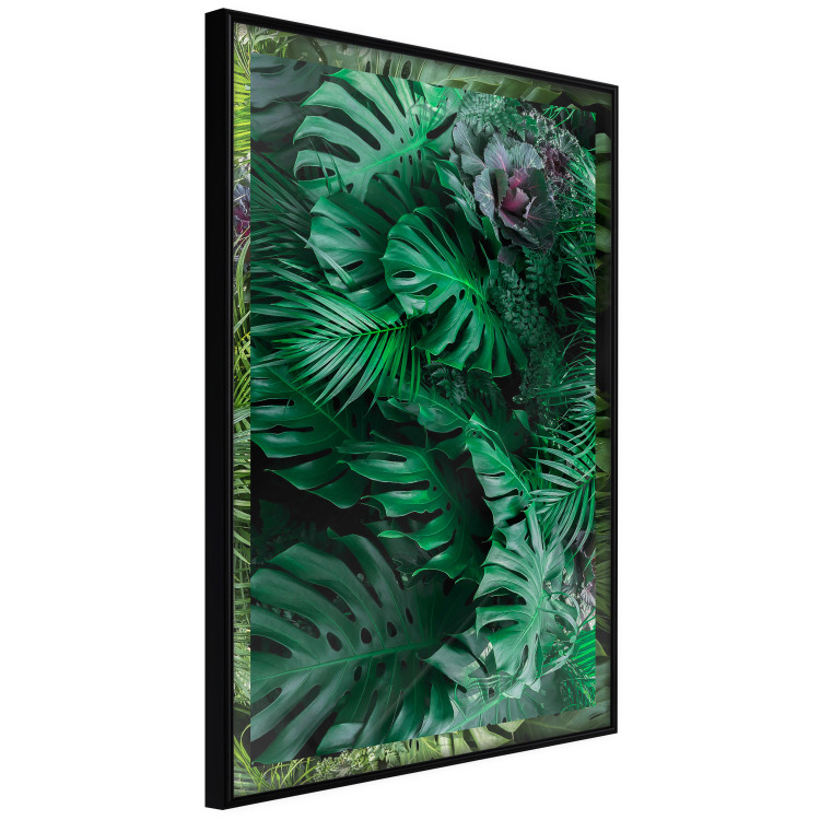 Wall Poster Dense Jungle - plant composition of tropical greenish jungle 134506 additionalImage 11