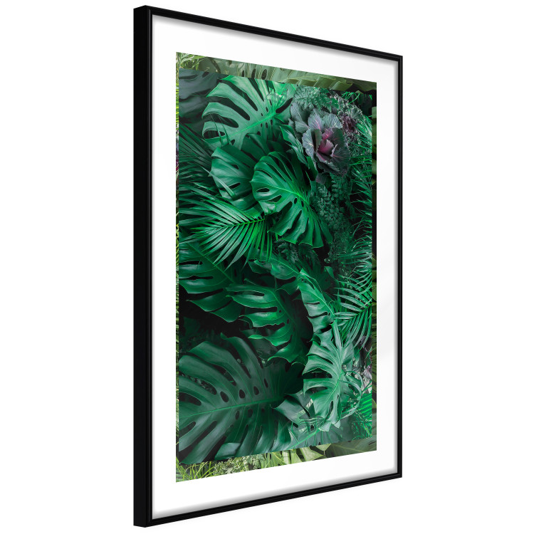 Wall Poster Dense Jungle - plant composition of tropical greenish jungle 134506 additionalImage 8