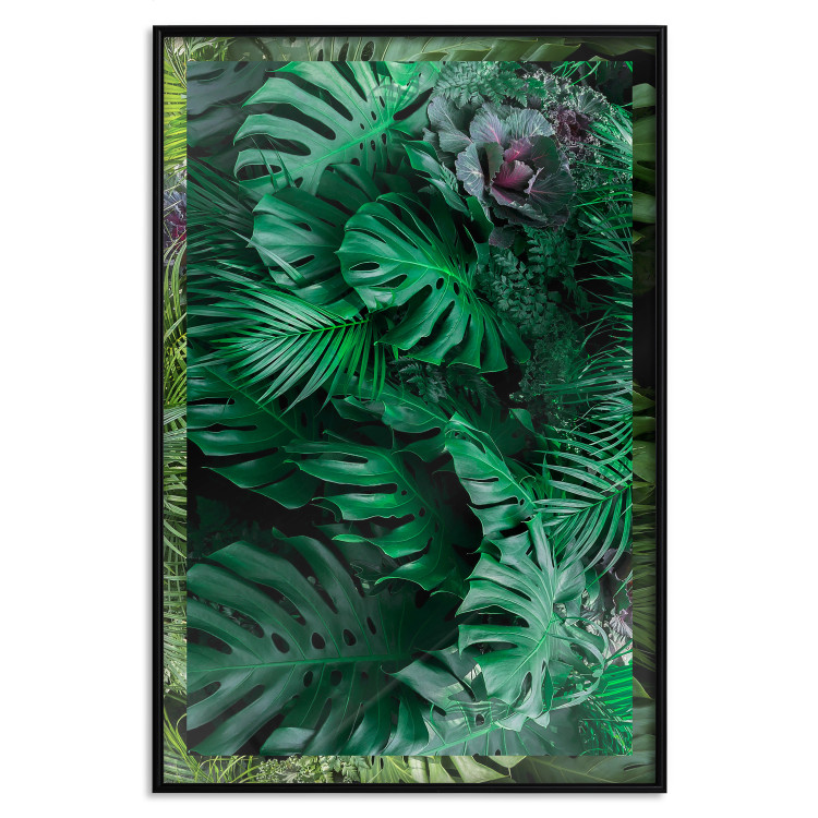 Wall Poster Dense Jungle - plant composition of tropical greenish jungle 134506 additionalImage 16