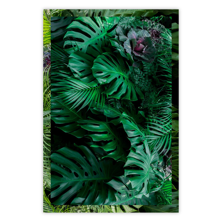 Wall Poster Dense Jungle - plant composition of tropical greenish jungle 134506
