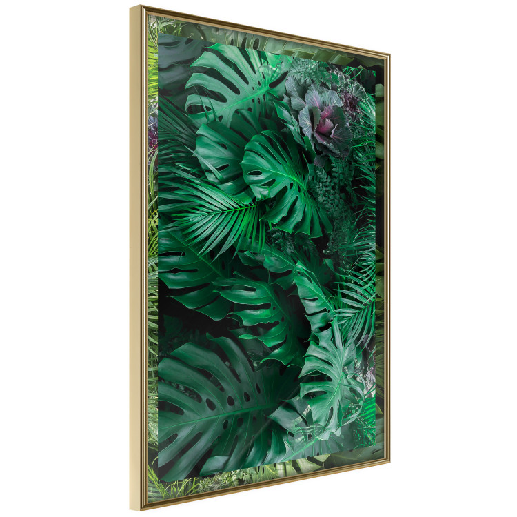 Wall Poster Dense Jungle - plant composition of tropical greenish jungle 134506 additionalImage 12